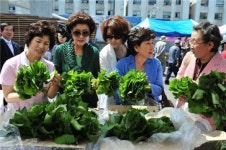 동대문 '서울풍물시장'에 산나물 다 모였다