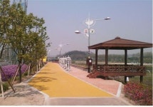 안양천이 몰라보게 달라졌다