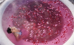 성년의날, 장미탕에서 사랑을