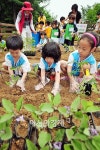 [포토] 유치원을 숲으로~