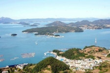 완도 신지~고금 연륙교 10월 착수