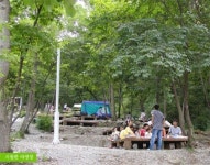 금강자연휴양림 인기