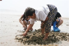 [눈을 떠봐 숨은 보석이 보여]③안면도 몽산포 해변 갯벌 체험