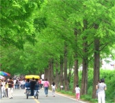 [눈을 떠 봐 숨은 보석이 보여]⑧슬로시티 증도, 담양 여름나기