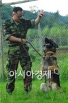 공군 제3 훈련비행단 군견소대