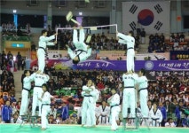 ‘2009 세계 태권도 한마당 대회’ 12일 개막