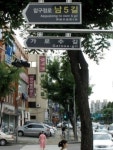 바람부는 날이면 가로수길을 가야한다