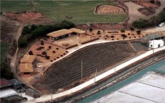 남악신도시에 DJ광장 조성