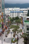 강북구청앞길 차 없는 거리 탈바꿈
