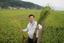 “비료·농약 없어도 벼가 쑥쑥”