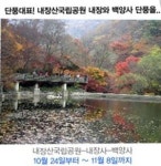 이안상조, 부모님 효도관광 상품