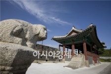 고향집 주변에 이런곳 있었네