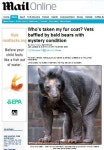 곰의 털이 몽땅 빠지면…