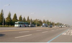 강서구,마곡지구 가로수 아파트 단지 등에 무상공급