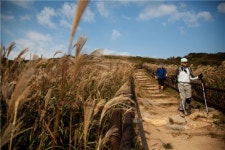 [여행]호젓한 길 걷노라니 자연이 말을 거네
