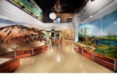 서대문자연사박물관 도슨트 로봇 이름 공모