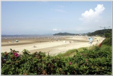 서천 춘장대해수욕장, 전국 ‘우수 해수욕장’ 뽑혀