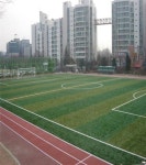 노원구 학교 운동장 녹색 옷을 입다