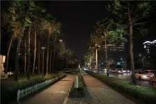 석촌호수, 환상적인 데이트로 변신