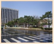 광화문 시민열린마당 주변 깔끔해져