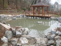 청룡동 생태연못 조성