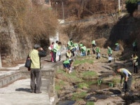 종로구,  깨끗한 지구만들기 활동 나서