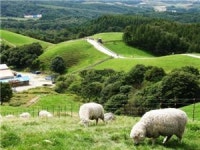 주말 고민하지말고, 현대카드 프리비아로 떠나세요