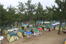 알뜰휴가 성북구가 돕는다