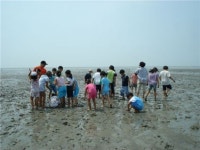 갯벌 여행 떠나볼까요?