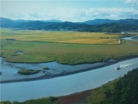 [마니아]자연의 보고 순천만 기행 짱뚱어를 아시나요?