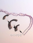 [포토] 창공 3천미터의 묘기