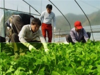 인생2막 ‘농촌에서’…경기귀농귀촌대학 ‘인기’