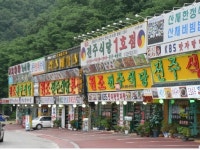 국립공원 상가간판, 자연에 어울리게 바꾼다