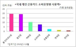 개인 신용카드 소비 할인점＜홈·인터넷쇼핑
