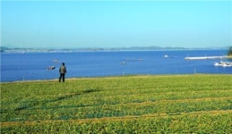 [여행]옥빛, 쪽빛, 초록 3색교향곡 남해 봄 풍경