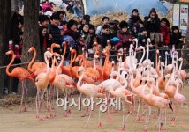 [포토] 봄을 즐기는 사람들