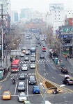 청백리 정신 서려있는 하정로 돌려주세요!