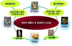 천마 대량생산시대 ‘활짝’