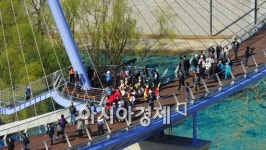 [포토] 보도교 한번 건너 보자~