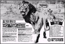 35년 웃음꽃 꿈의 궁전···새로운 마법 시작된다