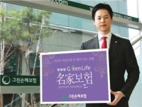그린손보, 그린라이프 명가 보험 판매