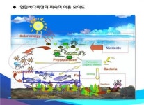 천수만에 체험·관광형 바다목장 조성