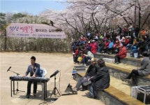 서대문 안산서 벚꽃길 음악회 열려