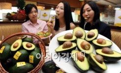 [포토]캘리포니아 피자키친 아보카도축제