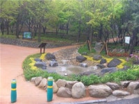 금호동 대현산공원 리노베이션 완료