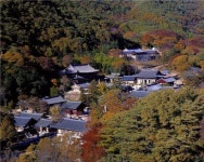 [韓 관광명소 온라인 사진전] ②구례, 화엄사