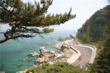 [韓 관광명소 온라인 사진전] ③강릉 헌화로