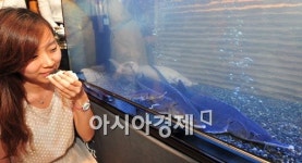 [포토] 철갑상어도 보고 캐비어도 먹고