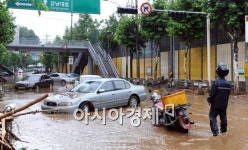 [포토]물에 잠긴 양재동
