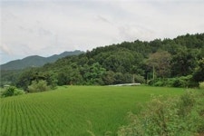 [부동산114 추천매물]충남 아산 음봉면 주택 2억5000만원